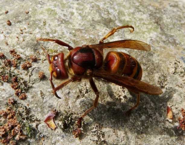 Valle del Farma e Stagno della Troscia: luoghi meravigliosi!